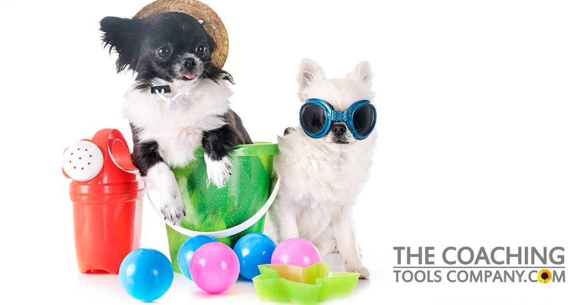 Two Cute Dogs with goggles and hat