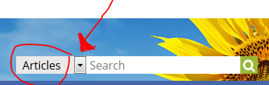 Article Search crop