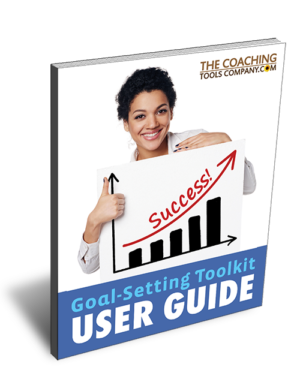 Vision & Goal-Setting Toolkit - USER GUIDE.pdf