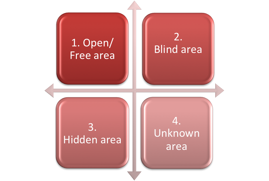 Ruby Johari Window