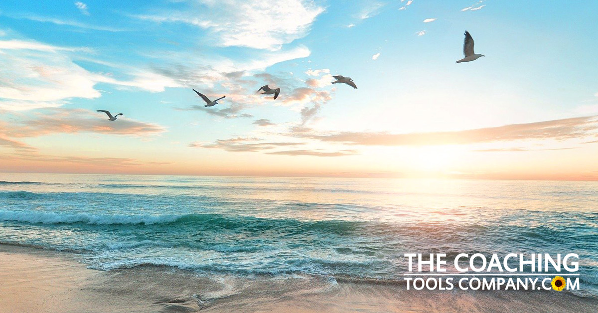 Image of Birds Flying Across Beach for Louise Hay