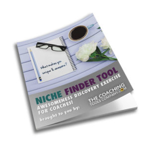 Coaching Niche Finder Tool 3D Image