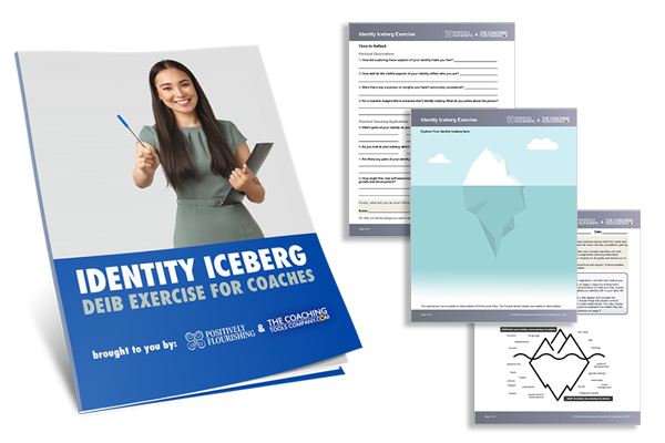 Iceberg Identity Mapping Tool with Inner Pages