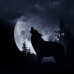 Wolf silhouette in moonlight symbolising inner saboteurs